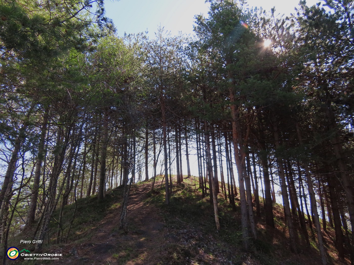 28 La Croce di Bracca oltre gli alti pini mugo.JPG